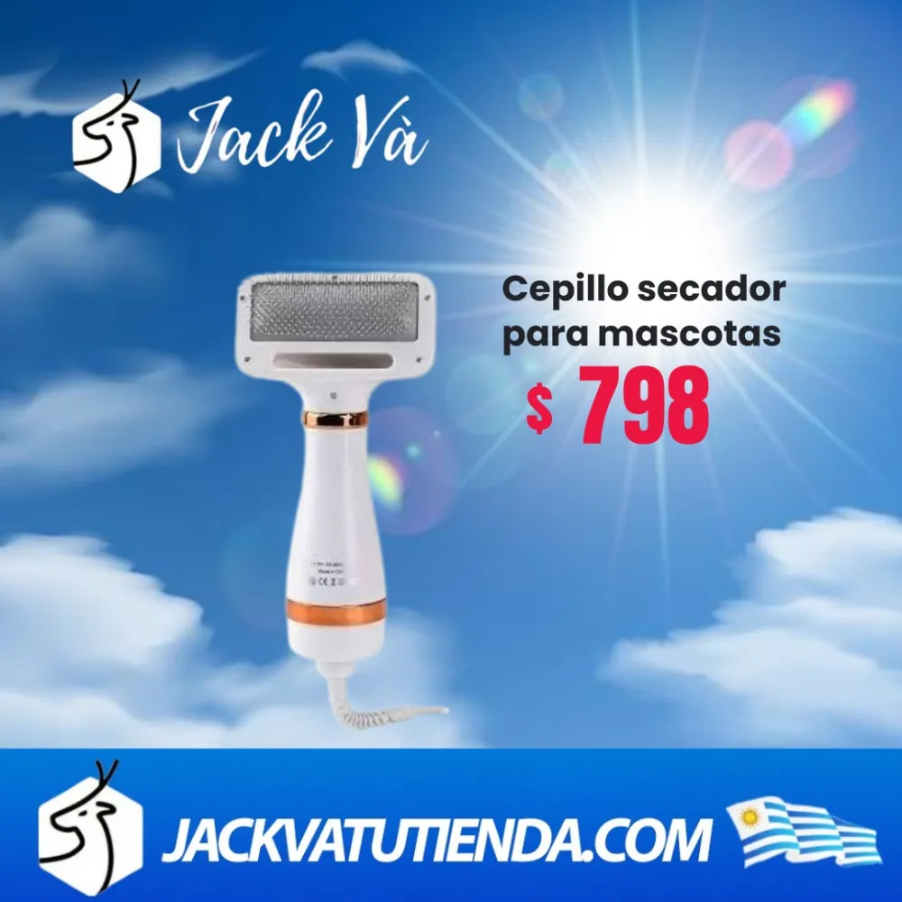 Producto Jack Va